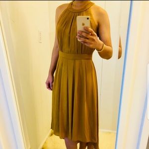 NWOT Banana Republic Heirloom Dress